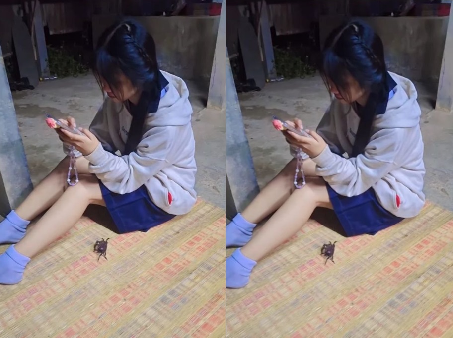 [clip sex]Tối Sang Nhà Bạn Gái Việt Nam, Chủ Yếu Đè Nhau Ra Nện